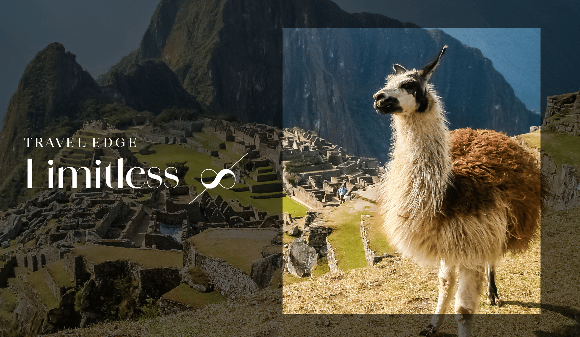 Limitless Banner Limitless Banner